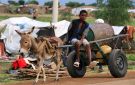أي وظيفة في الحرب؟ شباب السودان وسوق العمل