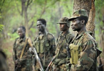 السودان .. مقتل 24 مدنيا جراء قصف عربة تقل نازحين