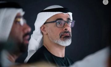 تقارير صحفية: الخوف من العزل دفع ابن زايد لتهيئة ابنه للحكم تقارير صحفية: الخوف من العزل دفع ابن زايد لتهيئة ابنه للحكم