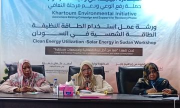 ينظمها مجلس الببيئة بالتعاون مع UNEP في اليوم الثاني ورشة تؤكد ضرورة التحول لاستخدام الطاقة النظيفة الطاقة الشمسية