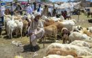 قرار جديد يعفي صادرات الماشية من ضريبة القيمة المضافة في السودان - sd