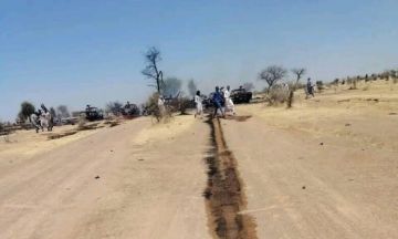 الطيران الحربي يسحق رتلا عسكريا للمليشيا في فوربرنقا بغرب دارفور