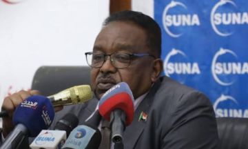 محافظ مشروع الجزيرة: المليشيا نهبت أصولا بقيمة 6 مليارات دولار