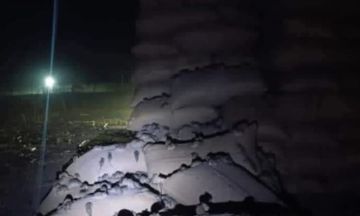 وقاية النباتات بكسلا: تلف المحاصيل بمخازن ود الحليو جراء الفئران لا يذكر