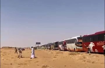 فتح التسجيل لتنظيم رحلات مجانية وتوجيهات عاجلة من لجنة الأمل لطلاب الشهادة واولياء الأمور الراغبين في العودة من مصر