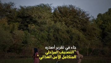 19.5 مليون يعانون الجوع الشديد في السودان 19.5 مليون يعانون الجوع الشديد في السودان