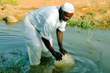 شح الموارد يهدد المحصول الصيفي في السودان شح الموارد يهدد المحصول الصيفي في السودان