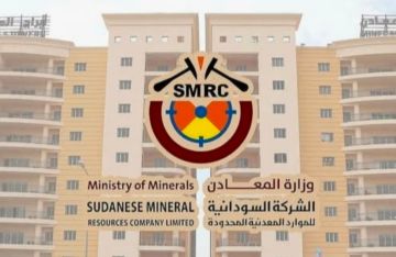 السودان: تشكيل فريق تحقيق بعد تداول فيديو لنفوق الضأن في منطقة تعدين تقليدية السودان: تشكيل فريق تحقيق بعد تداول فيديو لنفوق الضأن في منطقة تعدين تقليدية