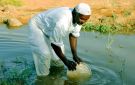 شح الموارد يهدد المحصول الصيفي في السودان