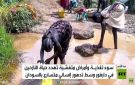 تفشي الأمراض في مخيمات النزوح بالسودان