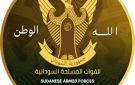 الجيش يكشف عن إنجازاته خلال الأسابيع الماضية