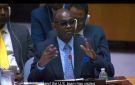 مندوب السودان بالأمم المتحدة يفند مزاعم استخدام السلاح الكيميائي ويطالب مجلس الأمن بوقف التدخلات الأجنبية