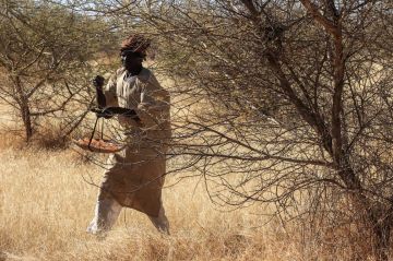 الأمم المتحدة: تجارة الصمغ العربي تشعل حرب السودان الأمم المتحدة: تجارة الصمغ العربي تشعل حرب السودان
