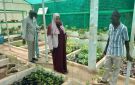 الأمين العام لمجلس البيئة تتفقد مشتل المجلس وتؤكد أهمية دعم برامج التشجير