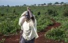 لاجئو السودان... هل أصبحت العودة خيارا مؤجلا؟