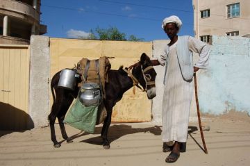 اقتصاد النزوح في السودان... أين يتجه؟ اقتصاد النزوح في السودان... أين يتجه؟