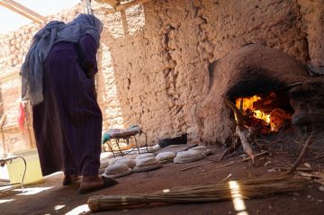 غابات السودان تدفع ثمن رغيف الخبز غابات السودان تدفع ثمن رغيف الخبز