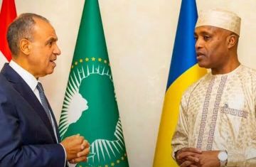 مباحثات مصرية تشادية تؤكد دعم وحدة السودان ورفض الكيانات الموازية مباحثات مصرية تشادية تؤكد دعم وحدة السودان ورفض الكيانات الموازية