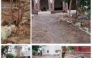 حوش الفنون الشعبية والأكروبات السودانية يستعيد العافية.. وحملة نفير كبرى لإعادة التعمير