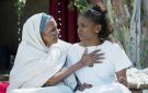  ملكة القطن ... حقل يبتلع حكاية السودان