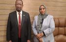 مكتب الجوازات والسجل المدني بالسفارة السودانية بالقاهرة يباشر إصدار وثائق العودة الطوعية مجانا من بيت السودان 