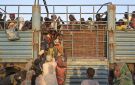 السودان.. نزوح 40 ألف شخص من محلية قيسان بإقليم النيل الأزرق