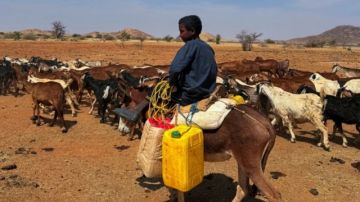 الجيش السوداني يعلن إسقاط مسيرة انطلقت من إثيوبيا وقواته تحقق تقدما في شمال كردفان الجيش السوداني يعلن إسقاط مسيرة انطلقت من إثيوبيا وقواته تحقق تقدما في شمال كردفان