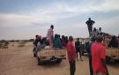 مكافحة التهريب بكسلا تحرر 150 رهينة وتضبط (4) قطع سلاح