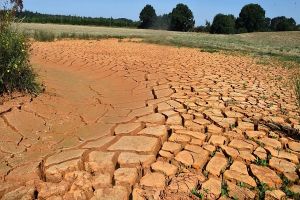 سوريا تواجه أسوأ موجة جفاف منذ 1989... 552 بئرا جافة وتراجع الثلوج بنسبة 60 في جبال الحرمون