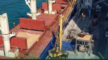 هل سوريا بعيدة عن توفير حاجتها من القمح المستورد لهذا العام؟