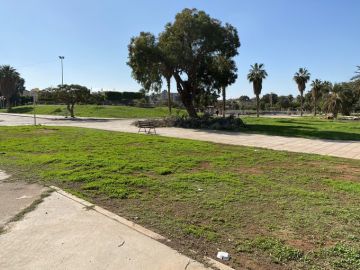 قطع أشجار معمرة في حديقة الجلاء بدمشق لصالح مشاريع استثمارية يثير غضب السكان