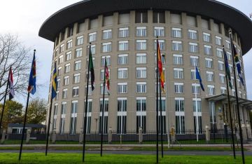 مندوب روسيا: منظمة حظر الكيماوي تعتمد قرارا لتسريع إغلاق الملف الكيميائي السوري