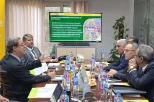 إيكاردا تطلق برنامج لإعادة تأهيل الزراعة في سوريا وتتحدث عن دعم دولي غير مسبوق إيكاردا تطلق برنامج لإعادة تأهيل الزراعة في سوريا وتتحدث عن دعم دولي غير مسبوق