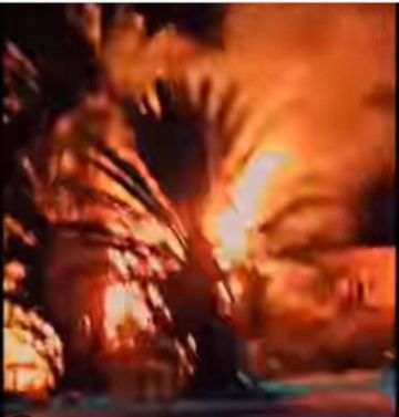 حريق يلتهم أشجار النخيل في دوار البعلوم بالميادين حريق يلتهم أشجار النخيل في دوار البعلوم بالميادين