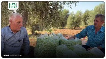 14مليون شجرة زيتون على مساحة 140 ألف هكتار في عفرين.. ضعف الإنتاج والسماح بالتصدير سيؤديان إلى ارتفاع كبير في أسعار الزيت 14مليون شجرة زيتون على مساحة 140 ألف هكتار في عفرين.. ضعف الإنتاج والسماح بالتصدير سيؤديان إلى ارتفاع كبير في أسعار الزيت