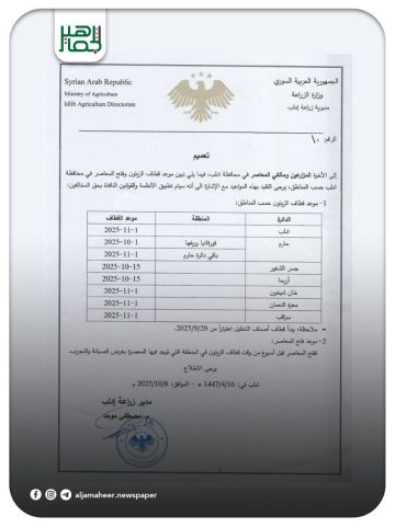 تعميم يحدد موعد قطاف الزيتون وفتح المعاصر في محافظة إدلب وفق الجدول المحدد لكل منطقة