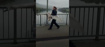 مشهد طريف... شرطية ألمانية تلاحق أوزة هربت من متنزه عام مشهد طريف... شرطية ألمانية تلاحق أوزة هربت من متنزه عام