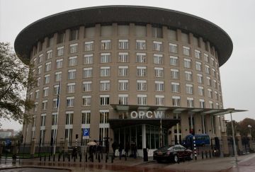 الخارجية: اعدنا تفعيل بعثتنا لدى منظمة حظر الأسلحة الكيميائية