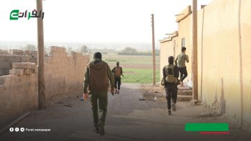 حملة أمنية تستهدف خلايا داعش في دير الزور