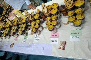 سوريا تحدث أول تعاونية لإنتاج العسل سوريا تحدث أول تعاونية لإنتاج العسل