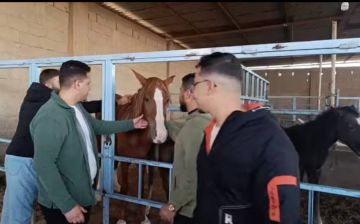 جلسة عملية لطلبة الهندسة الزراعية للتعرف على الخيول الأصيلة وطرق التلقيح الاصطناعي للأبقار