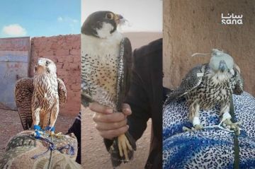 سوريا بانتظار إدراج عنصرين جديدين على قائمة التراث اللامادي في اليونسكو سوريا بانتظار إدراج عنصرين جديدين على قائمة التراث اللامادي في اليونسكو