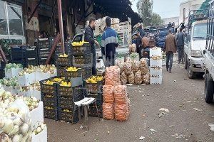 التصدير يضغط على السوق المحلي.. الفواكه السورية تسجل أعلى أسعارها منذ عقود