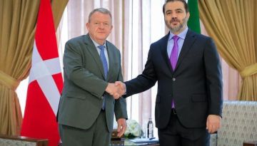 بعد تشكيلها لجنة خاصة.. الدنمارك تتجه إلى دمشق لحل قضية اللاجئين