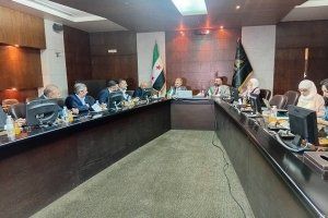 هيئة الاستثمار السورية تبحث مع مجموعة المناصير الأردنية فرص التعاون في قطاعات استراتيجية هيئة الاستثمار السورية تبحث مع مجموعة المناصير الأردنية فرص التعاون في قطاعات استراتيجية