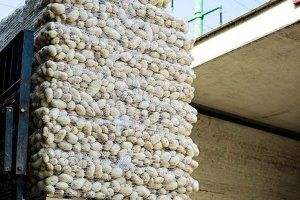 أبرزها البيض و الفروج ..سوريا توقف استيراد منتجات زراعية وغذائية لمدة شهر لدعم المنتج المحلي