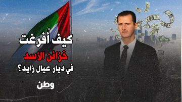 الرحلة الأخيرة للأسد.. حقائب المال تهرب والنظام يسقط بصمت