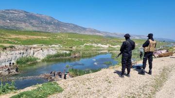 الثروة السمكية في سوريا.. عقد من الإهمال وتحديات بيئية تهدد مصدر رزق السكان الثروة السمكية في سوريا.. عقد من الإهمال وتحديات بيئية تهدد مصدر رزق السكان