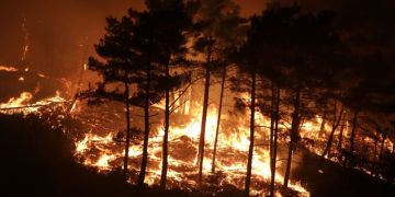 وزير الطوارئ السوري: طلبنا من الاتحاد الأوروبي المساندة في إخماد حرائق اللاذقية