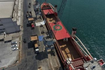 مرفأ طرطوس يشرف على سلسلة متواصلة من الشحنات في معركة لتعويض نقص القمح السوري